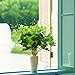 Bird Fiy Artificial Greenery Plastic English Ivy Leaves Fake Bouquet Simulation Greenery Bushes Indoor Outside Home Garden Office Verandah Wedding Décor 2PCS Artificial Plants