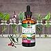 Nature's Answer Uva Ursi Leaf with Low Organic Alcohol 2 Fluid Ounces | Gluten-Free | Non-GMO | Vegan | No Artificial Flavors or Preservatives | Single Count