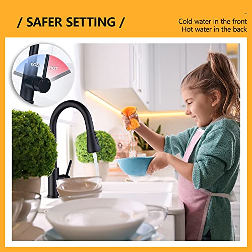 Hiqufet Black Kitchen Faucet with Pull Down Sprayer, Kitchen Sink
