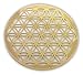HeartsforLove Flower of Life Gold Plated 4