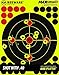 BEEWARE - 8” Adhesive Splatter Targets for Shooting - Premium Reactive Peel and Stick Shooting Targets - Indoor/Outdoor Ranges - Rifle - Pistol - Air Rifle - 22 - Pellet - BB Gun - Airsoft (10 Pack)