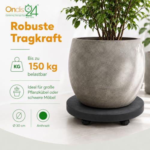 Ondis24 Pierre Plant Roller up to 150 kg, Flower Roller with Invisible Wheels, Furniture Roller, Pot Roller (Diameter 30 cm, Anthracite)