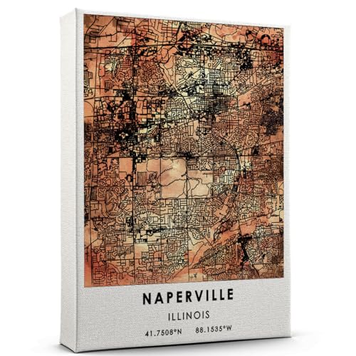 Naperville Map Poster, Illinois Map Art Poster, Map
