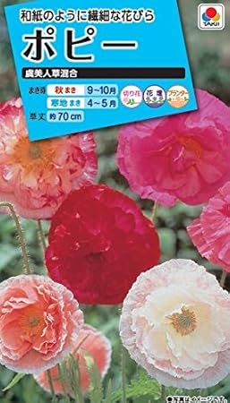タキイ種苗 ポピー虞美人草混合 花 Amazon