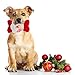 Homimp Christmas Plush Dog Bone Chew Toy with Squeaker 4 Pcs - Corduroy Durable Soft Toys Set for Puppy Dogs Training Fun