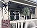 Sunba Youth 10 PCS Spider Used for Halloween or Parties Decoration, White
