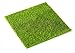 SUN-E 2 Pcs Life-Like Fairy Artificial Grass 12''x 12'' (30 X 30CM) Miniature Ornament Garden Dollhouse