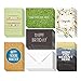 Birthday Cards Box Set – 36 Pack Happy Birthday Cards, 6 Offensive Funny Designs, Birthday Cards Bulk, Envelopes Included, 4 x 6 Inches