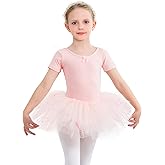 Gorchnc Toddler Dance Outfits Ballerina Outfit Girls Dance Leotard with Skirt Ballet Outfit Ballet Tutu Ballerina Costume