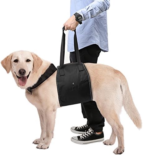 新作製品 世界最高品質人気 車 バイク Black 激安超特価 プロダクト 介護ハーネス 正規品送料無料 運動用 欠陥犬 欠陥犬 運動用 Lサイズ スポンサー リード 障害犬 老犬 犬用介護ハーネス 歩行補助 散歩用 Pawaboo 大型犬用 B06xhzd6q4 100 品質保証 登山用 足腰の
