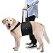 Pawaboo Dog Support & Rehabilitation Harness, Dog Lift Canines Aid Assist Sling for Disabled, Injured, Elderly Pets Dogs, Help with Mobility to Stand Up, Climb Stairs and More, Large Size, Black