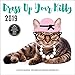 Dress Up Your Kitty 2019: 16-Month Calendar - September 2018 through December 2019 by
