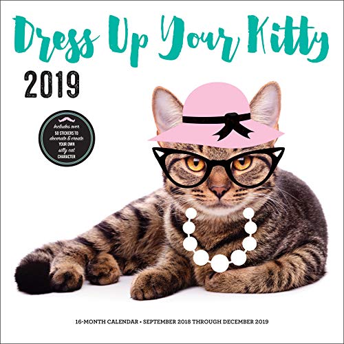 Dress Up Your Kitty 2019: 16-Month Calendar - September 2018 through December 2019 by Editors of Rock Point