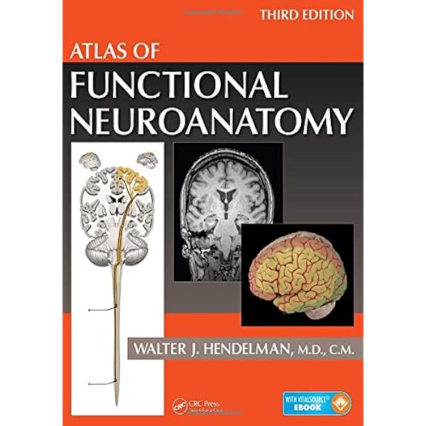 Atlas of Human Brain Connections: 9780198729372: Medicine & Health