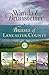 The Brides of Lancaster County by Wanda E. Brunstetter