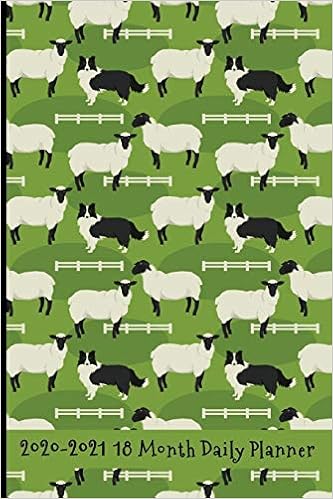 collie is a hard working herding dog