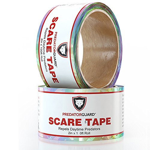 PREDATORGUARD 2 Pack Best Bird Repellent Scare Tape Repels Birds