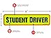 Bigtime Designs SD10 New Student Driver Magnet Car Signs for The Novice or Beginner, Better Than a Decal or Bumper Sticker Reflective Magnetic, Large, 12