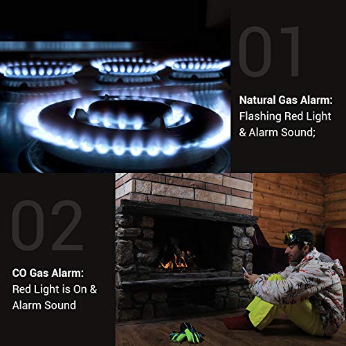 Plugin Carbon Monoxide Detector and Natural Gas Detector Alarm with