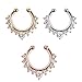 20 Pcs Nose Ring Septum Piercing Jewelry,Cubic Fake Septum Nose Ring for Women Non Piercing Clip On Body Piercing Jewelry by Team-Management