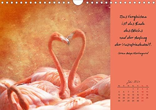 Download Dones vergleichen ist das ende des gluecks und der anfang der unzufriedenheit HD Dones Vergleichen Ist Das Ende Des Gluecks Und Der Anfang Der Unzufriedenheit