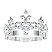 DcZeRong Crystal Metal Crown - Prom, Birthday, Bridal, Wedding, Cosplay, Homecoming Tiara for Adults