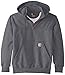 Carhartt Men's Rain Defender Paxton Heavy Weight Hooded Zip Mock Sweatshirt