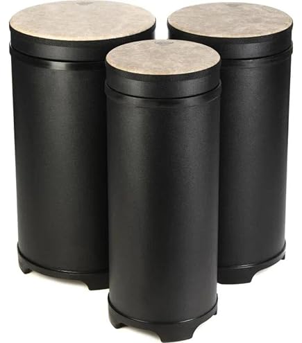 Amazon.com: Remo Festival 10