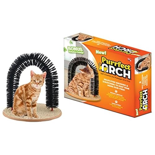 buy products from amazon that are Catnip Toys, under $20, under $25