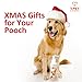 T-PET Dental Care Gel For Dog - Freshen Breath - Reduce Plaque and Tartar - Vets Approved - Toothpaste Dental Care with Toothbrush - 100% Edible Even for Humans - 4.22 o.z./ 120mL