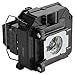 EPSON V13H010L61 ELPLP61 Replacement Projector Lamp for PowerLite 915W/1835/430/435W/D6150