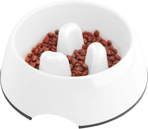 dog food bowl for fast eaters