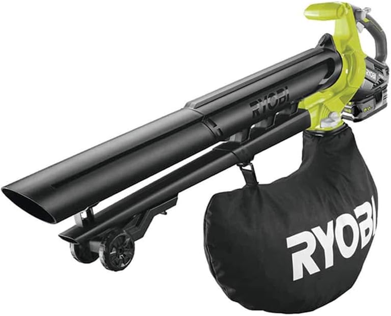 vuoto portatile ryobi