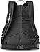 Dakine Wonder 22L Backpack