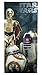 Star Wars Ep7 The Droids Beach, Bath, Pool Cotton Towel
