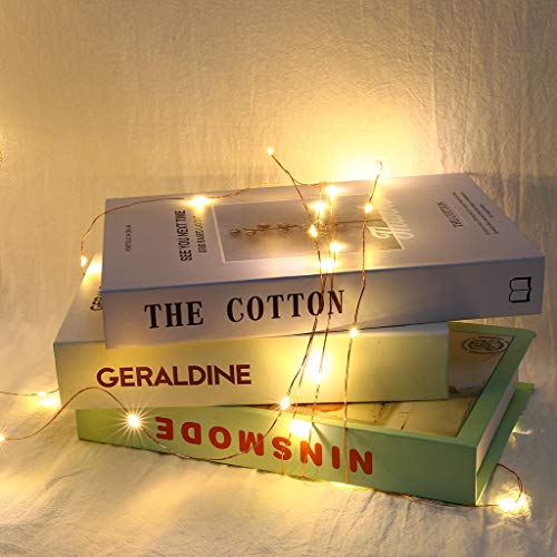 Beyonds Photo Clip LED Lights, 20/50/100 Bulbs Hanging Picture Lamp for Garden Wall Bedroom Lawns Christmas Indoor & Outdoor Decoration, Home Terrace Party Bar Decor