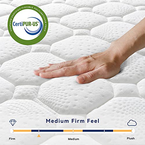 Vesgantti 10 Inch Multilayer Hybrid Queen Mattress Multiple Sizes