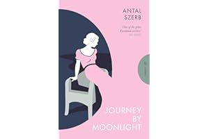 Journey by Moonlight