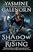 Shadow Rising: An Otherworld Novel (Otherworld Series Book 12)