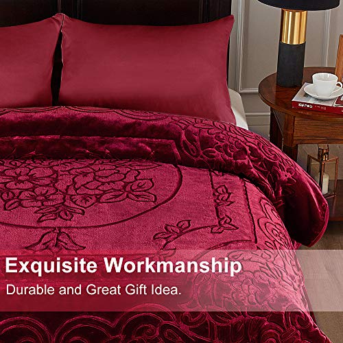 JML Fleece Blanket King Size, Heavy Korean Mink Blanket 85 X 95 Inches