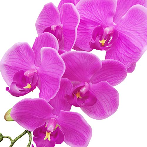 Fnize Fake Orchid Stems Artificial Bulk Phalaenopsis Centerpieces