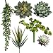 Supla 6 Assorted Fake Succulents Plants Picks Textured Artificial Succulents Unpotted Pick Succulent Stems Fake Succulent Bouquet String of Pearls Succulent Faux Succulent Floral Wall Art