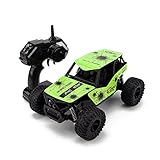 SGOTA RC Car 1/16 Scale High-speed Remote Control Car Off-Road Radio Controlled Electric Vehicle
