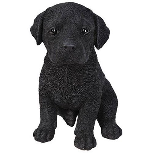 Border Concepts 65 Inches Blk Lab Puppy