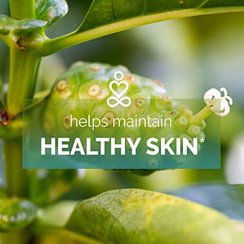 Noni Fruit Capsules by Ahana Nutrition Noni Supplement to Support The