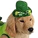 Rubie's Pet Costume, Small, Irish Girl