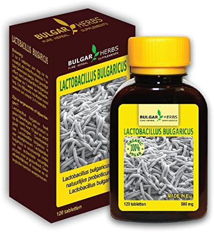 Lactobacillus Bulgaricus (For Treatment of Galactorrhea /The Spontaneous Flow of Milk From the Breast, Unassociated with Childbirth or Nursing)