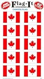 Canada Flag Stickers Package Of 60