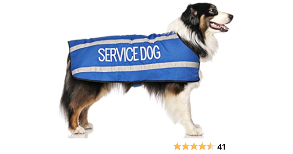 service dog jacket amazon