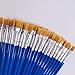 SUNKISTY Children's Art Paintbrushes, Little Painting Brushes with Plastic Handle for Kids Blue (Blue 50Pcs)